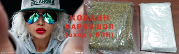сатива Алзамай