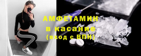 индика Гусиноозёрск