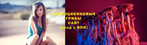 сатива Алзамай