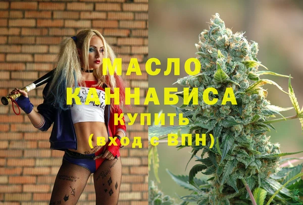 СК Каменка