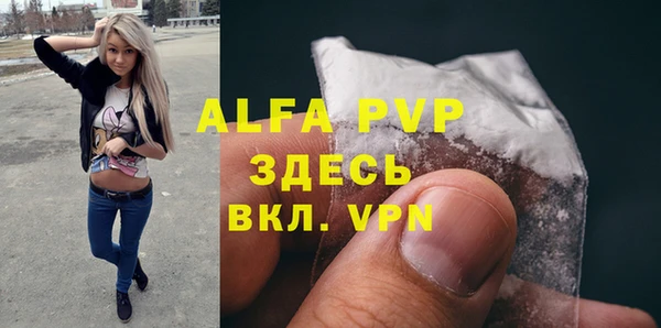 сатива Алзамай