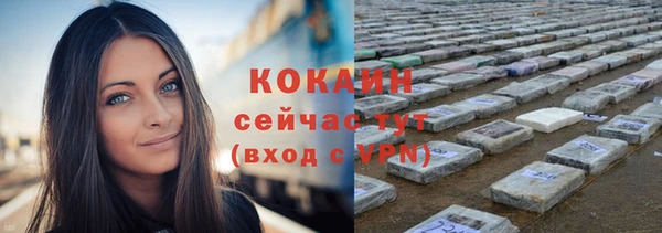 дмт Каменск-Шахтинский
